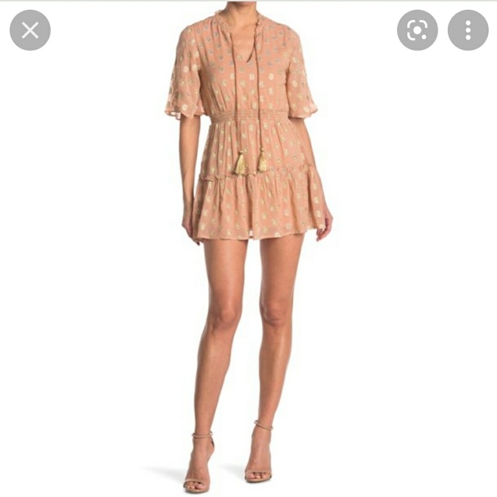 Raga Dusted Rose Metallic Dot Dress